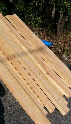 つむぎ20140131-3.jpg