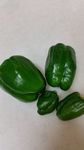 庭の野菜たち3.jpg